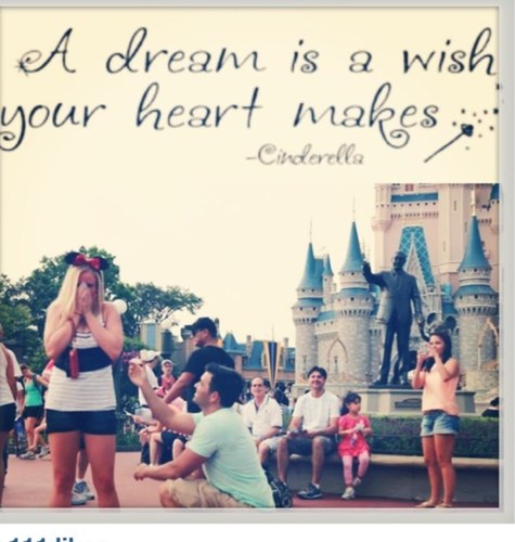 ashShenise's profile picture. the lush lifestyle..