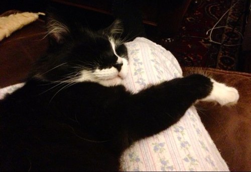 megaba67's profile picture. 