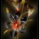 Judith Yates - @JudithYates13 - Twitter