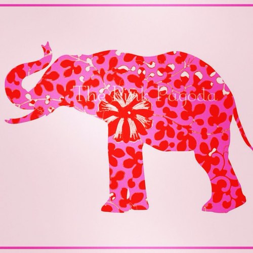 LyricLifeNC's profile picture. 