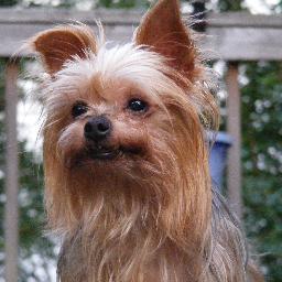 luvcali's profile picture. 