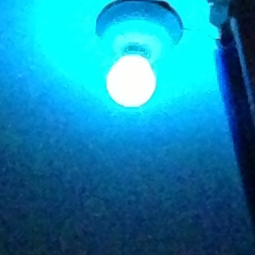 iDespechado's profile picture. Me gusta enamorar, hablar con el corazón. Criticar objetivamente, pero jamás insultarte.  Sigámonos...