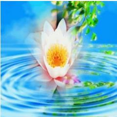 The grace of GOD is like insurance. It will help you in your time of need without any limit.- Sathya Sai Baba
