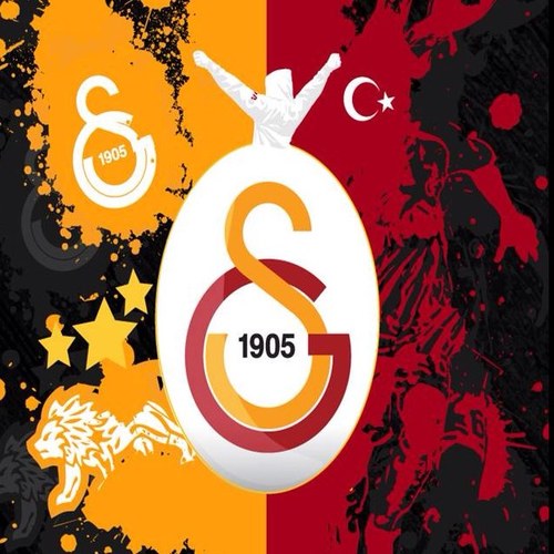 gs_timci's profile picture. 