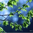 Clyde Wilson - @ClydeWilson10 - Twitter