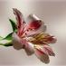 月影の勇者✡2✡ (@nergissultan) Twitter profile photo 月影の勇者✡2✡ (@nergissultan) Twitter profile photo