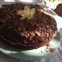 Wendy Pace - @YdnewecapPace - Twitter