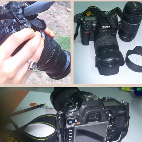 fofoalari's profile picture. 