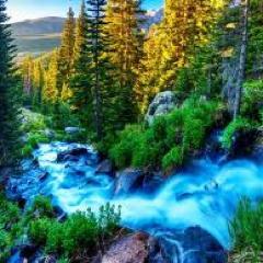 The biggest mistake people make in life is not trying to make a living at doing what they most enjoy.-Malcolm Forbes