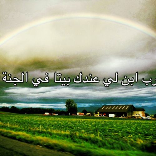 toga11111's profile picture. 