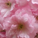 Frank McDaniel - @FrankMcDaniel6 - Twitter