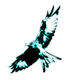 InfoHorizon's profile picture. 