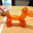 Anne Loisel - @AnneLoisel - Twitter