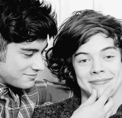 i'm boydirectioner