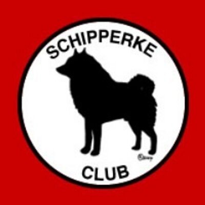 Royal hotsell schipperke club