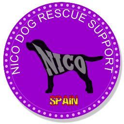 Nico Dog Rescue Support Spain to help dogs. I am a card maker, horse rider, photographer. I have dogs cats chickens horses. Love pilates, cooking