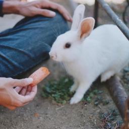 Horsequiet's profile picture. Strangers think I'm quiet. My friends think I'm out-going. My best friends know that I'm completely insane!