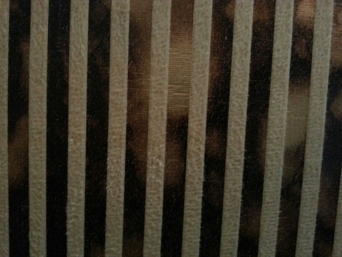 salmanhyyh's profile picture. 