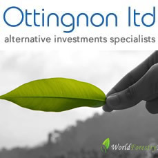 As leaders in the field of alternative investments, Ottingnon is uniquely positioned to take advantage of global economic trends.