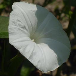 Blog_ _ _