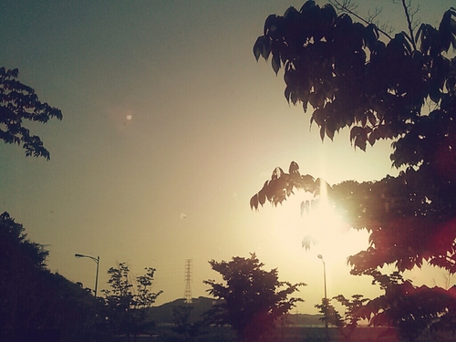 phy00717's profile picture. 