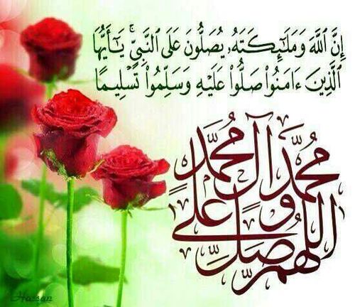 smartgit11's profile picture. 