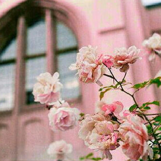 alwsfe's profile picture. لست بَ عديمة آحسآس وَلكنني فتاة عندمآ آتؤوجع آو آنصدم آو آغآر آو آهُمل تضيق آنفآسي و آلتزم آلھدوء و الابتعآد ♡̷̷̷̷̷̷̷!! Follow me instagram :WASAIFALQUHTANI