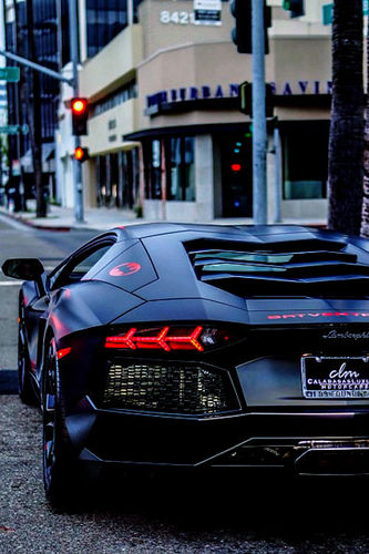 ShahzadRyaz's profile picture. 