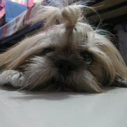 OoOjustme's profile picture. 