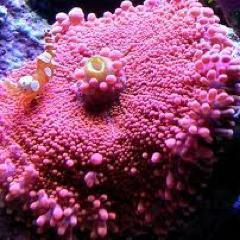 M3llisaWilliams's profile picture. Believe those who are seeking the truth. Doubt those who find it.—André Gide