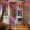 Luis Shaw - @LuisShaw9 - Twitter