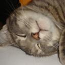 martha sisk - @purpleraven77 - Twitter