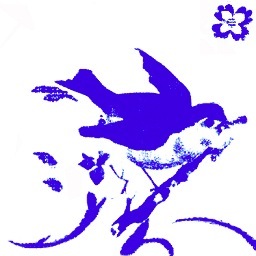 pimpelwit's profile picture. INTERIEURSTYLING, CONCEPT & ONTWERP - 

interieurontwerp - bedrijfsinrichting - advies - styling - diy - woonproducties - wonen met een twist - kleur - sfeer