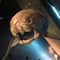 nori (@go2_73) 's Twitter Profile