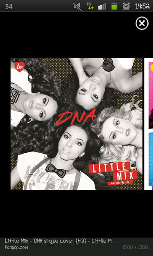 littlemixfan48's profile picture. 