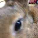 有竹真 (@11Ma29) Twitter