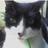 SamuelBordoni_S's profile image