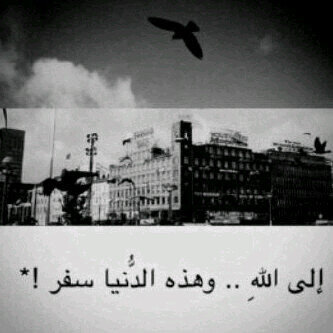 Kok_oOo's profile picture. اللهم برد على قبور من هم تحت رحمتك وأجعل قبورهم بردا وسلاما يا ارحم الراحمين ♡♡♡ صدقــه جــاريـه~