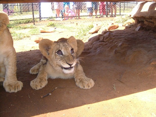 Rahulg247's profile picture. 