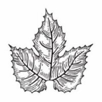 Scratch Brewing Co. (@scratchbeer) 's Twitter Profile