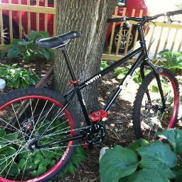 flowers and bikes will save you.