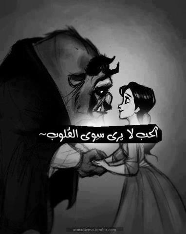 فولو مي = فولو باك ( مضمون 100% ماعدآ القروبات ) ، إنفولو = بلوووووک ( كمآن مضمون 100% )