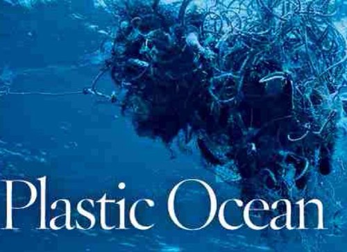 Plastic_Oceans's profile picture. Help raise awareness for our enviroment, specifically our oceans. There is entirely too much plastic in the oceans. Follow to help save our planet!