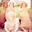 Barbara McGee - @barbmcgee56 - Twitter