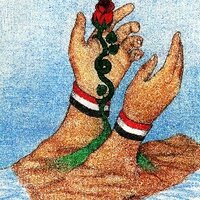 Saba JALLAS (@sabajallas) 's Twitter Profile