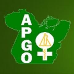 Associação Paraense de Ginecologia e Obstetrícia (APGO).