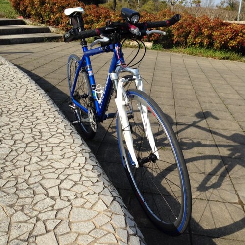 kazukiasas's profile picture. 