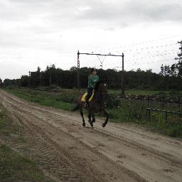 17 / 5 havo / Corlaer College / Nijkerk