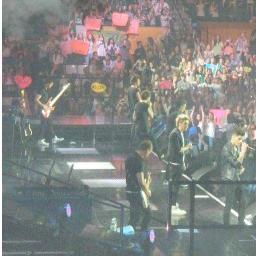 directionertgn's profile picture. 