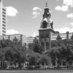 Downtown Wooster Sq (@dwscmt) Twitter profile photo